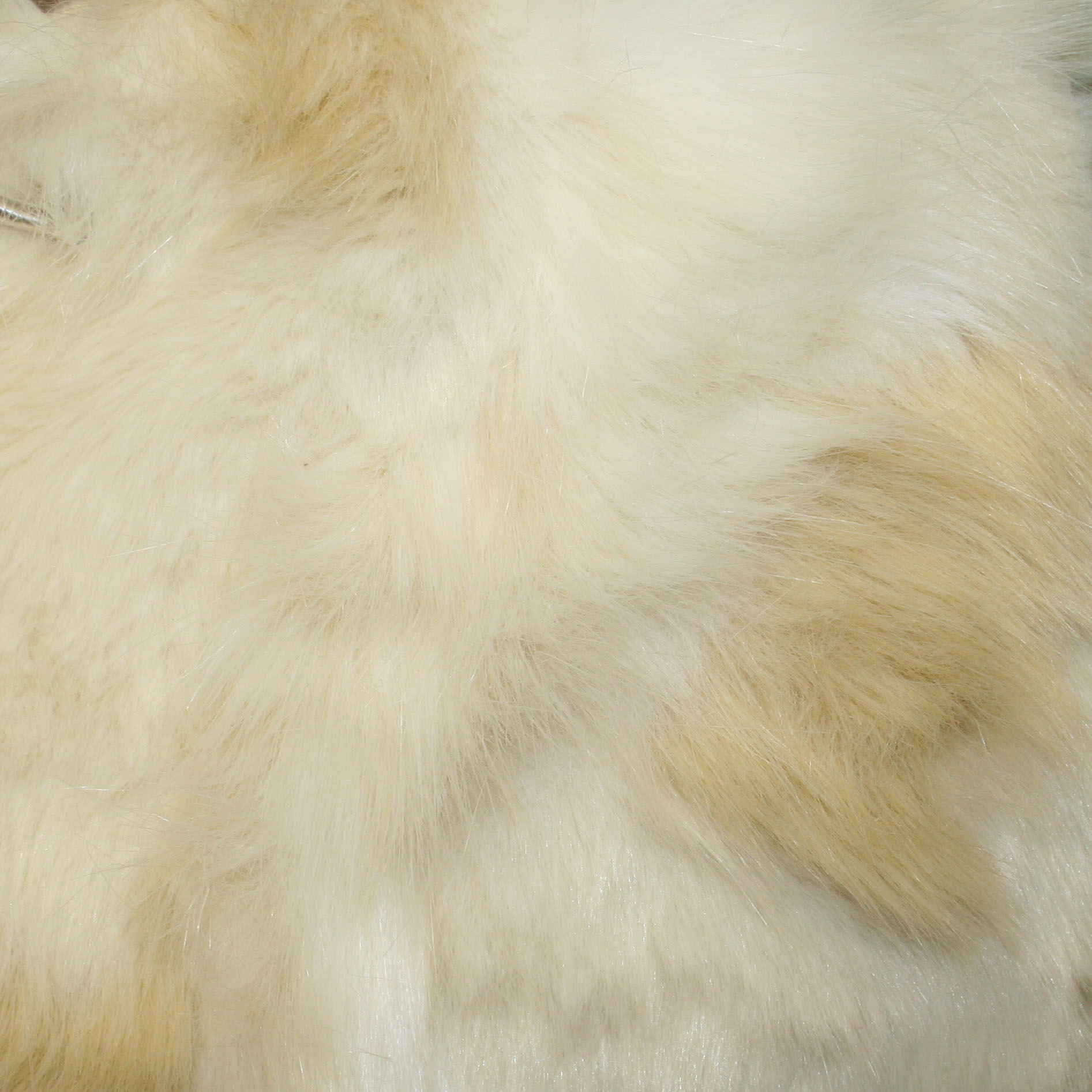 Artic Fox - White